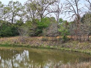 FM 3371 Fm-3371 Path - Photo 6
