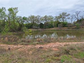 FM 3371 Fm-3371 Path - Photo 7