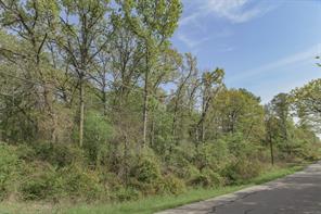 1366 Utopia Road - Photo 24