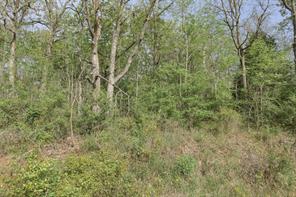 1364 Utopia Road - Photo 15