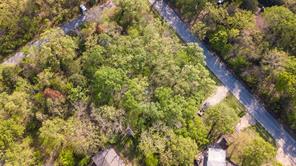 1364 Utopia Road - Photo 2