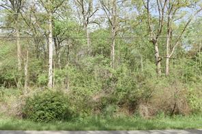 1364 Utopia Road - Photo 21