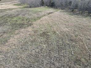 4028 Dove Street - Photo 5
