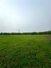 4028 Dove Street - Photo 6
