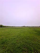 4028 Dove Street - Photo 7