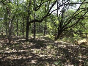 W. 34.1 Hoffman Road - Photo 3