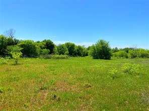 2683 N Highway 81 - Photo 16
