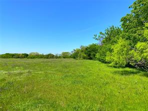 2683 N Highway 81 - Photo 21