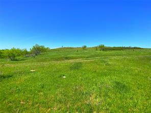 2683 N Highway 81 - Photo 24