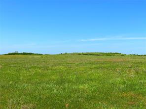 2683 N Highway 81 - Photo 27