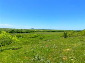 2683 N Highway 81 - Photo 8