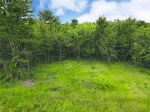 Lot 62 & BS #20 Sunset Court - Photo 9