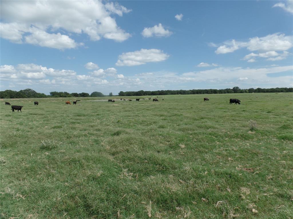TBD FM 3025 - Photo 1