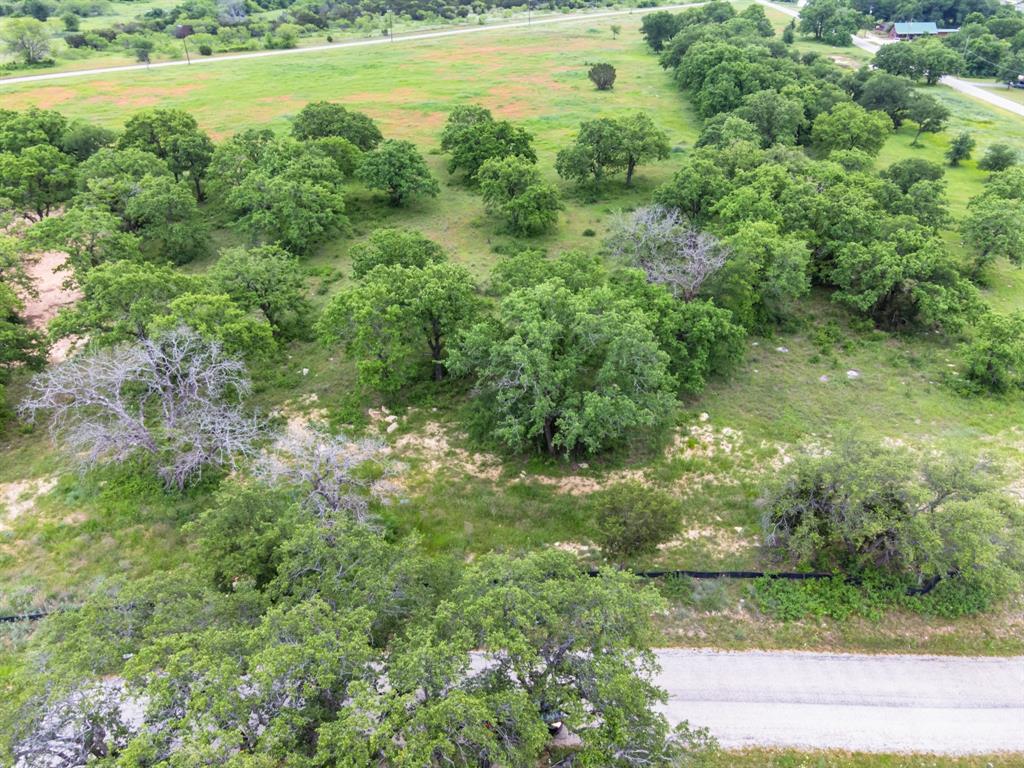 3407 Williamson Road - Photo 1