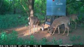 TBD CR 129 - Photo 10