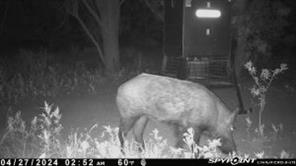 TBD CR 129 - Photo 8