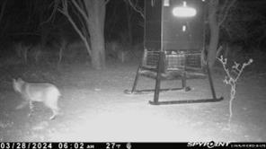 TBD CR 129 - Photo 9