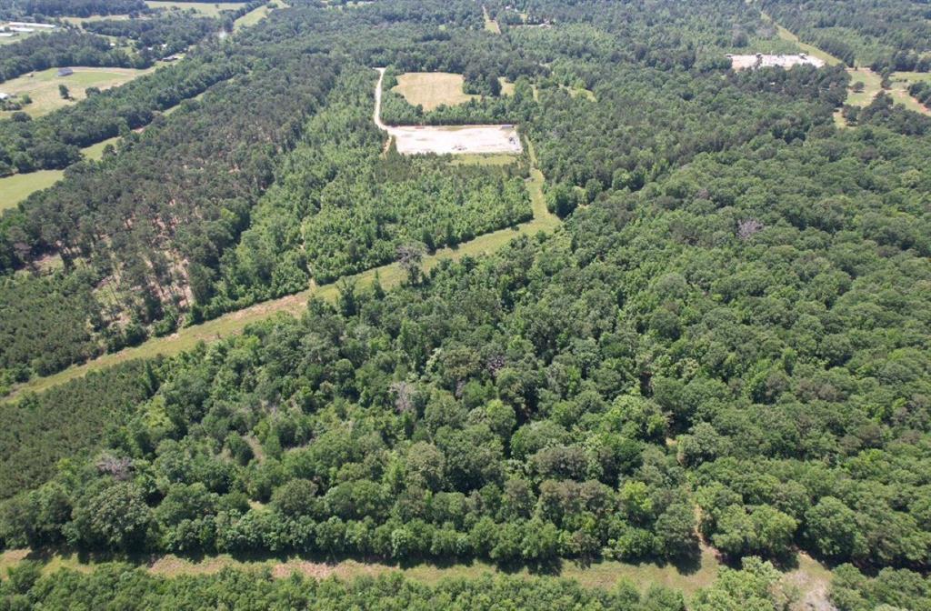 TBD County Road 432 - Photo 1