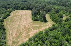 TBD County Road 432 - Photo 14