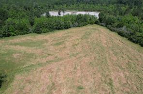 TBD County Road 432 - Photo 15