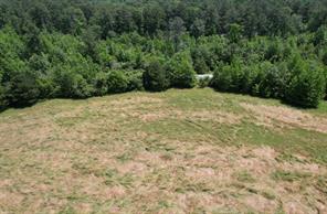 TBD County Road 432 - Photo 16
