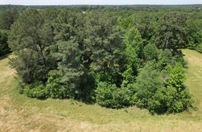 TBD County Road 432 - Photo 18