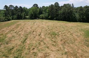TBD County Road 432 - Photo 19