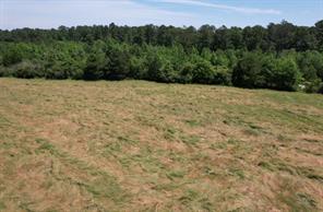 TBD County Road 432 - Photo 21