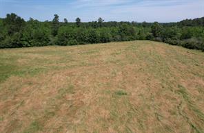 TBD County Road 432 - Photo 22