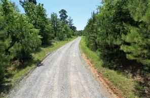TBD County Road 432 - Photo 26