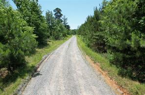 TBD County Road 432 - Photo 27