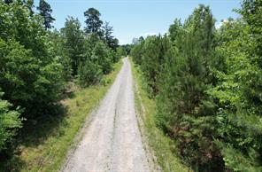 TBD County Road 432 - Photo 28
