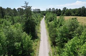 TBD County Road 432 - Photo 30
