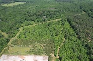 TBD County Road 432 - Photo 4