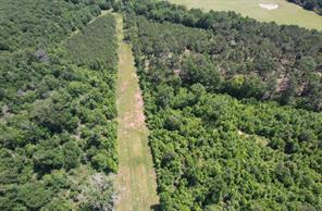 TBD County Road 432 - Photo 5