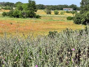 TBD Lot 991, 992 Long View Drive - Photo 7