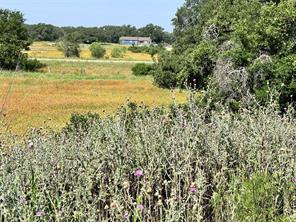 TBD Lot 991, 992 Long View Drive - Photo 8