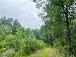 0 FM 1475 - Photo 5