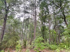 0 FM 1475 - Photo 6