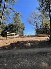 TBD-C County Road 4653 - Photo 3