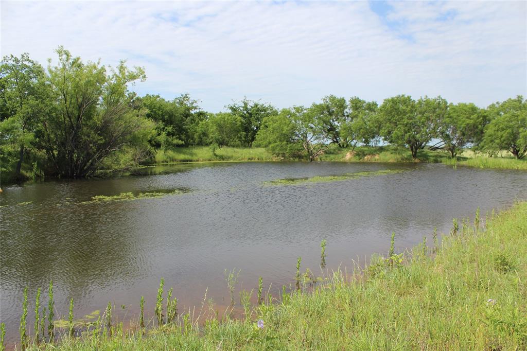 9999 County Road 334 - Photo 1