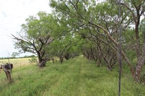 9999 County Road 334 - Photo 10