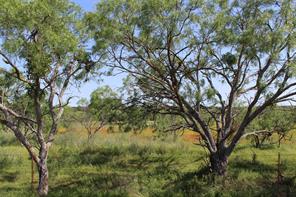 9999 County Road 334 - Photo 14