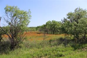 9999 County Road 334 - Photo 15