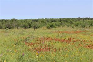 9999 County Road 334 - Photo 16