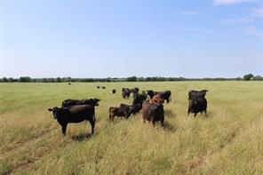 9999 County Road 334 - Photo 19