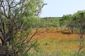 9999 County Road 334 - Photo 3