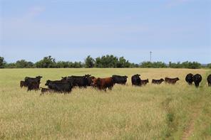 9999 County Road 334 - Photo 5