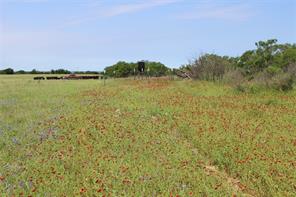 9999 County Road 334 - Photo 6