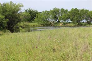 9999 County Road 334 - Photo 7